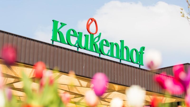Keukenhof Entry, Transfer & Lovers Canal Cruise Amsterdam - From Amsterdam Centraal to the flower fields