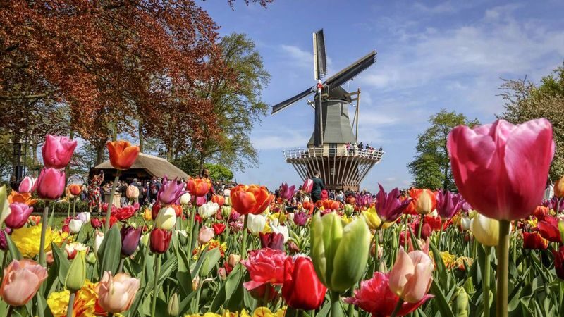 Keukenhof Entry, Transfer & Lovers Canal Cruise Amsterdam - The return bus is the part to plan around