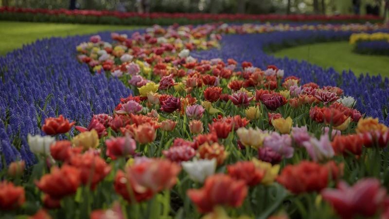 Keukenhof Entry, Transfer & Lovers Canal Cruise Amsterdam - Add the Lovers cruise for an Amsterdam water-level view