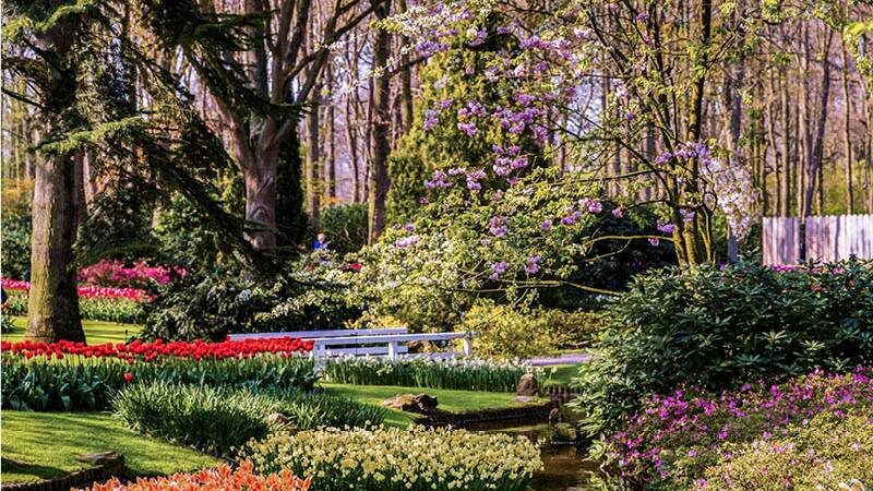 Keukenhof Entry, Transfer & Lovers Canal Cruise Amsterdam - Should you book it?