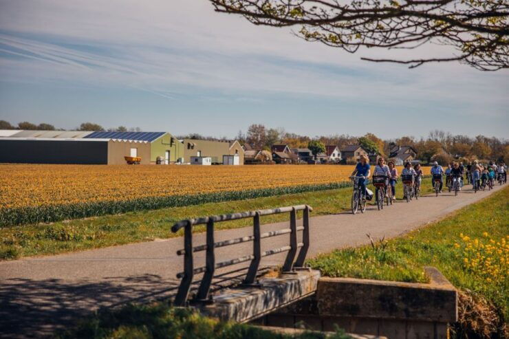 Keukenhof: Flower Fields Small-Group Cultural Bike Tour - Tour Details and Highlights