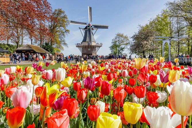 Keukenhof, Flower Fields, Volendam and Zaanse Schans Small-Group Tour - Cancellation Policy