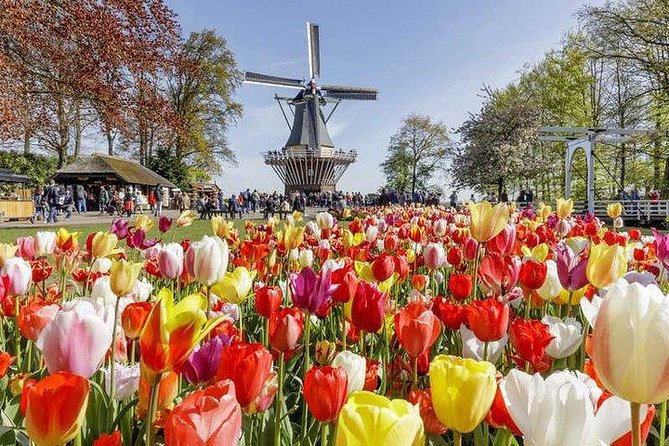Keukenhof & Flowerfarm Tour From Amsterdam Skip-The-Line Tickets - Booking and Flexibility