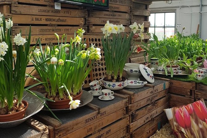 Keukenhof & Flowerfarm Tour From Amsterdam Skip-The-Line Tickets - Pickup and Cancellation Policy