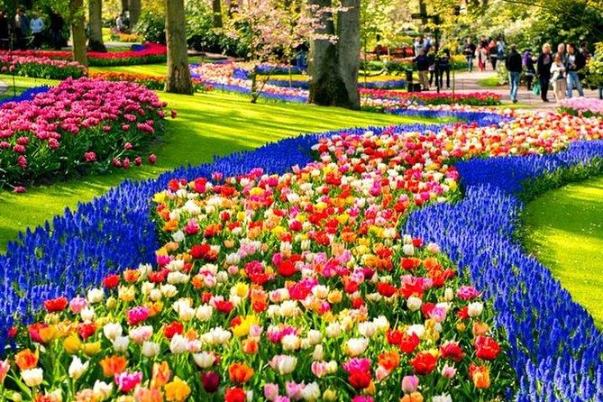 Keukenhof & Flowerfarm Tour From Amsterdam Skip-The-Line Tickets - Price and Savings