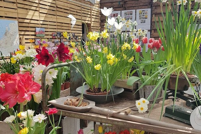 Keukenhof & Flowerfarm Tour From Amsterdam Skip-The-Line Tickets - Private Guided Experience