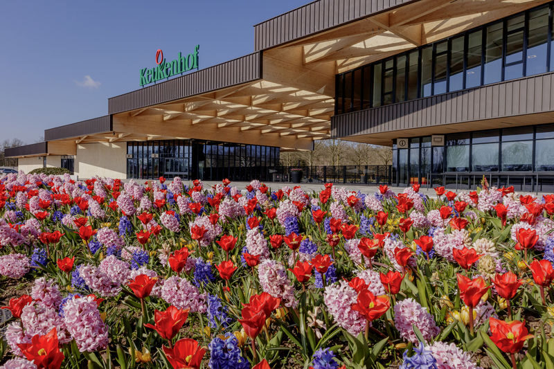 Keukenhof Gardens Ticket & Shuttle from Amsterdam with Flexible Return - The useful details at a glance