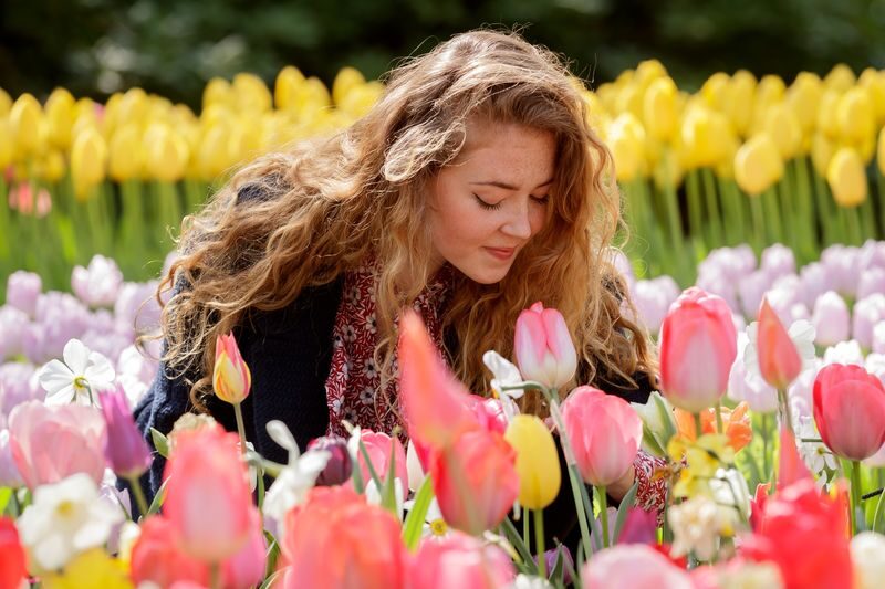 Keukenhof Gardens Ticket & Shuttle from Amsterdam with Flexible Return - A spring garden built for wandering