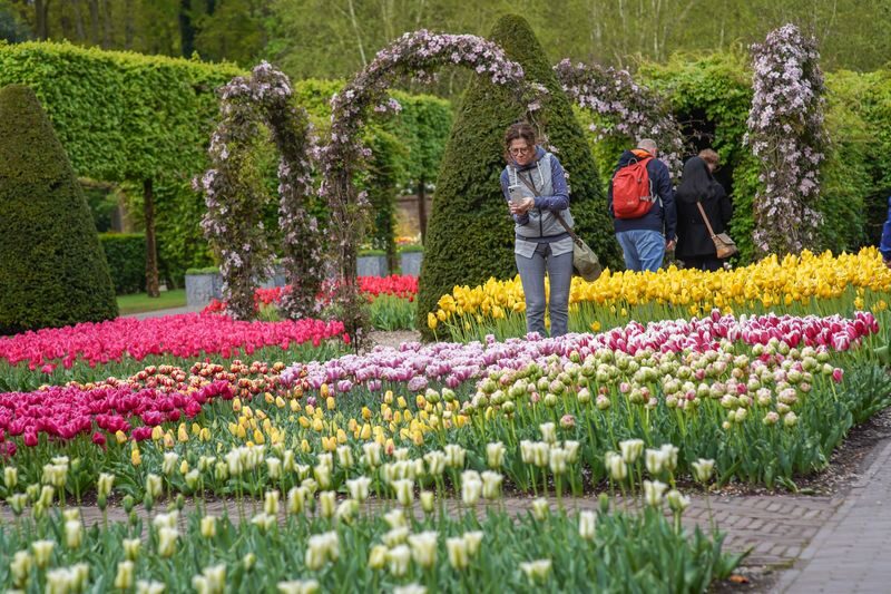 Keukenhof Gardens Ticket & Shuttle from Amsterdam with Flexible Return - Timing matters more than the ticket price