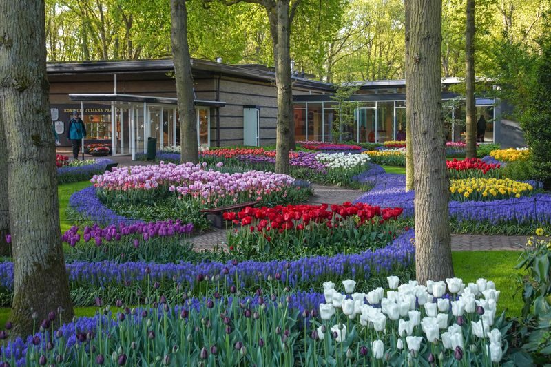 Keukenhof Gardens Ticket & Shuttle from Amsterdam with Flexible Return - Who should book this Keukenhof shuttle?