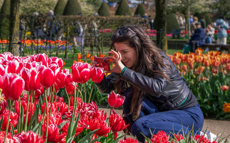 Keukenhof Gardens Ticket & Shuttle from Schiphol Airport with Flexible Return - Flexible return: airport or Amsterdam