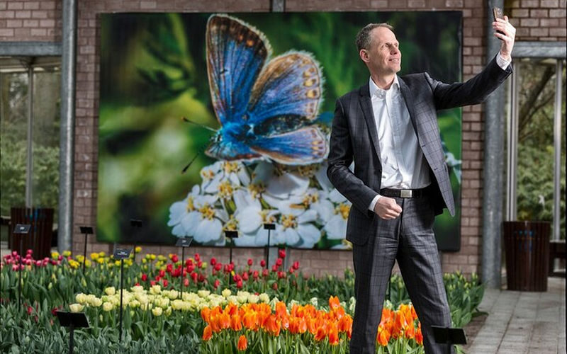 Keukenhof Gardens Ticket & Shuttle from Schiphol Airport with Flexible Return - What the price includes, and what it does not
