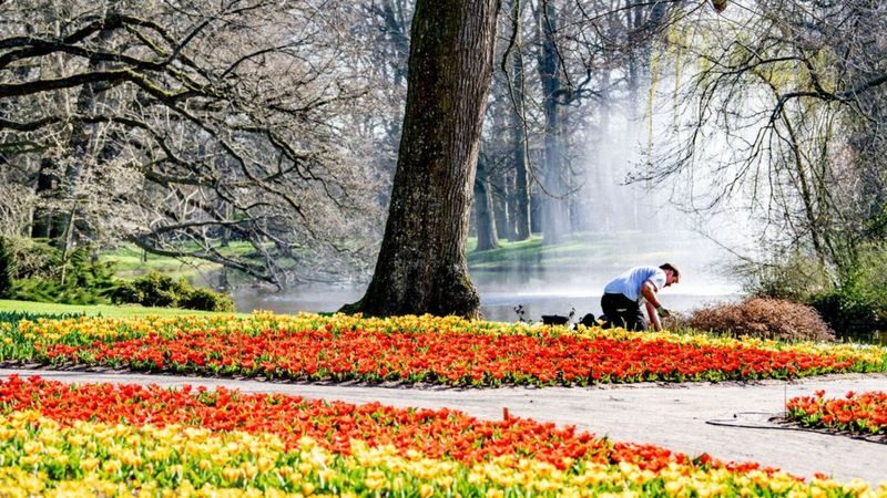 Keukenhof Gardens Ticket & Shuttle from Schiphol Airport with Flexible Return - Who this Keukenhof shuttle suits best