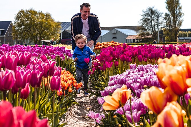 Keukenhof Gardens & Tulip Experience Guided Tour From Amsterdam - Tour Overview