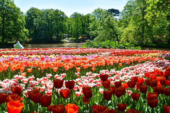 Keukenhof Gardens & Tulip Experience Guided Tour From Amsterdam - Common Questions