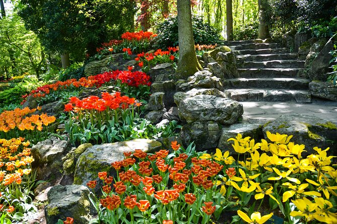 Keukenhof Gardens & Tulip Experience Guided Tour From Amsterdam - The Sum Up