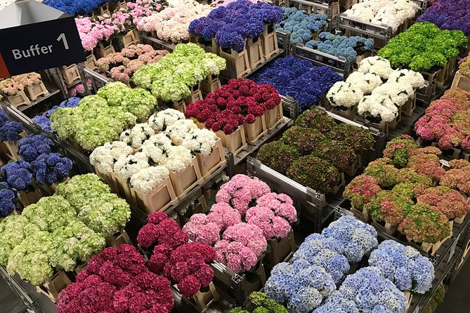 Keukenhof Private Floral Tour - Tour Itinerary