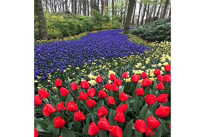 Keukenhof Private Floral Tour from Amsterdam - Who Is This Tour Perfect For?