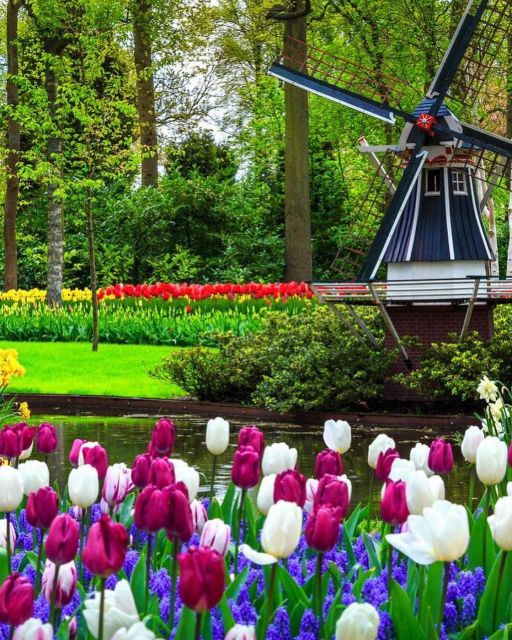 Keukenhof: Private Keukenhof Tour With Guide - Experience Highlights