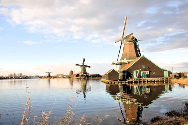 Keukenhof: Private Tulip & Windmill Tour With Cheese Tasting - Inclusions and Tour Experience