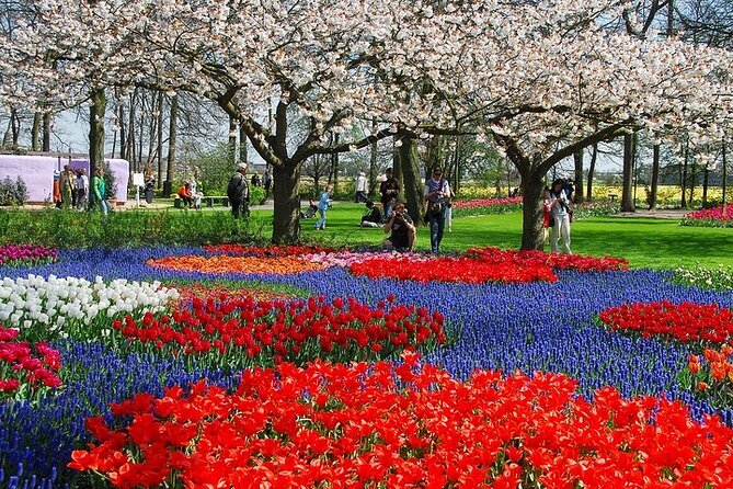 Keukenhof Ticket and Transport From Amsterdam (Guide Optional) - Pricing and Booking