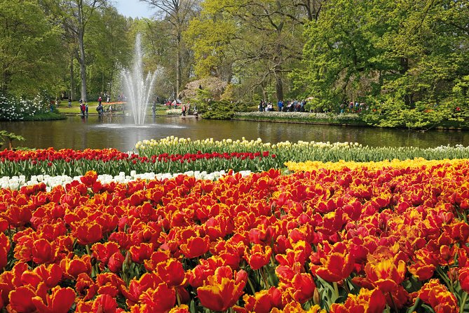 Keukenhof Ticket and Transport From Amsterdam (Guide Optional) - Whats Included