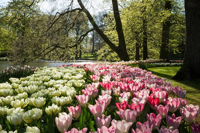 Keukenhof Ticket and Transport From Amsterdam (Guide Optional) - Meeting and Pickup