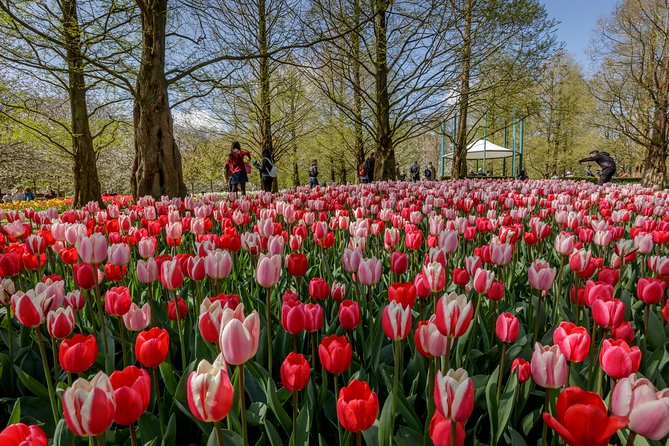 Keukenhof Ticket and Transport From Amsterdam (Guide Optional) - Additional Info