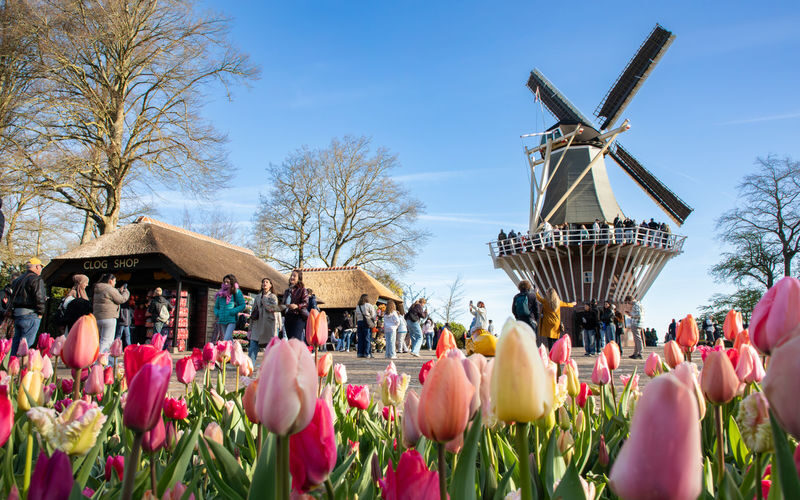 Keukenhof Tours with Countryside and Cruise Options - At a glance