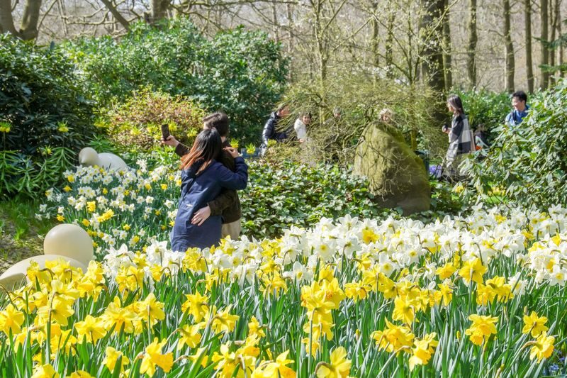 Keukenhof Tours with Countryside and Cruise Options - Keukenhof is more than a field of tulips