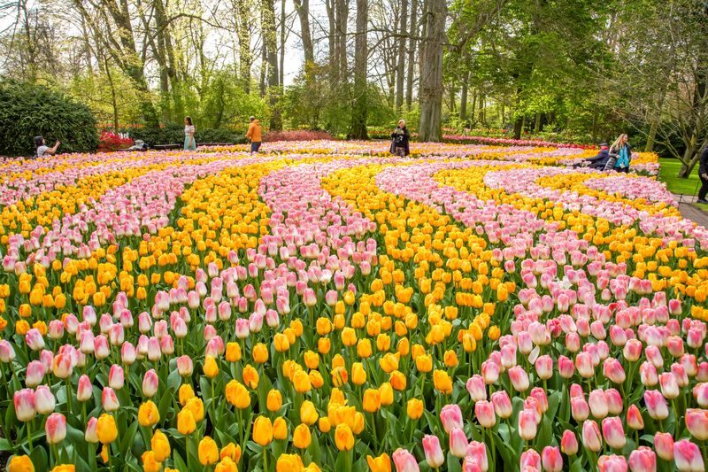 Keukenhof Tours with Countryside and Cruise Options - Flexible return gives you control
