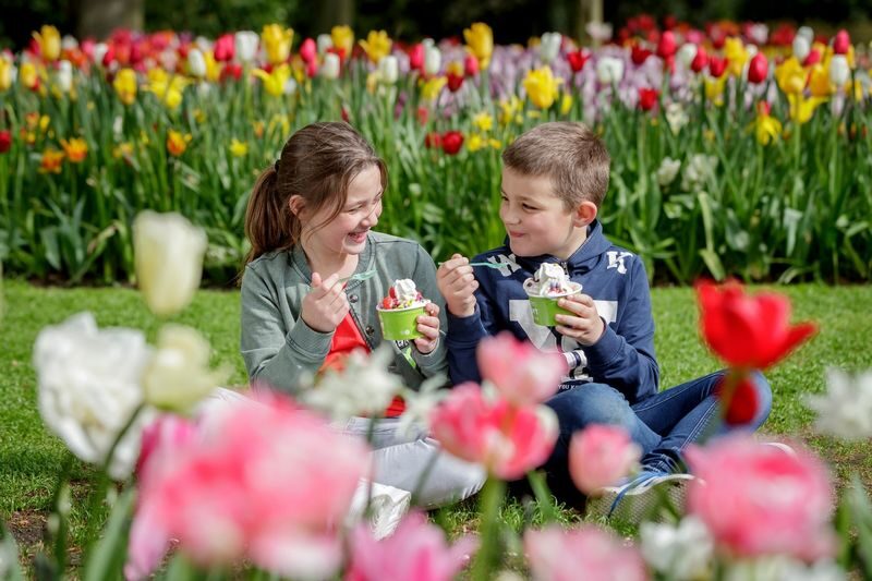 Keukenhof Tours with Countryside and Cruise Options - Who should book this Keukenhof trip?