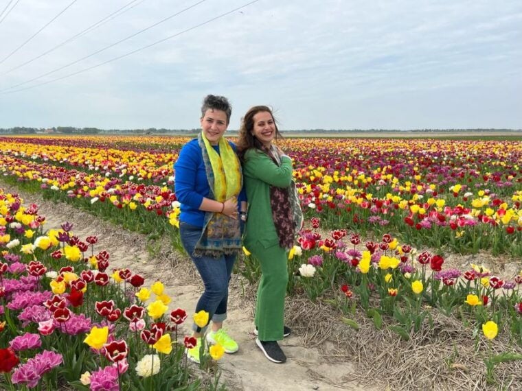Keukenhof, Tulip Farm, Flower Fields & Windmills - Price and Value
