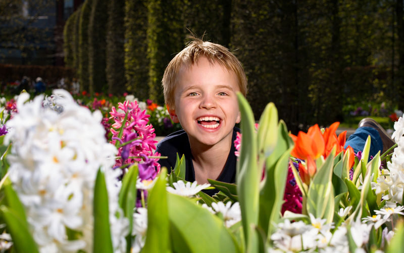 Keukenhof, Tulip Farm & Windmill Cruise Full-Day Tour from Amsterdam - The day at a glance