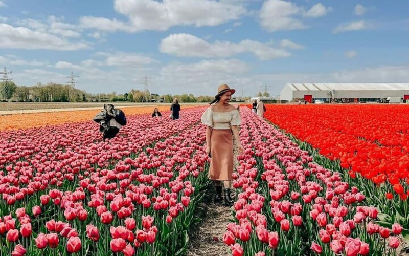 Keukenhof, Tulip Farm & Windmill Cruise Full-Day Tour from Amsterdam - Who should book this tour?