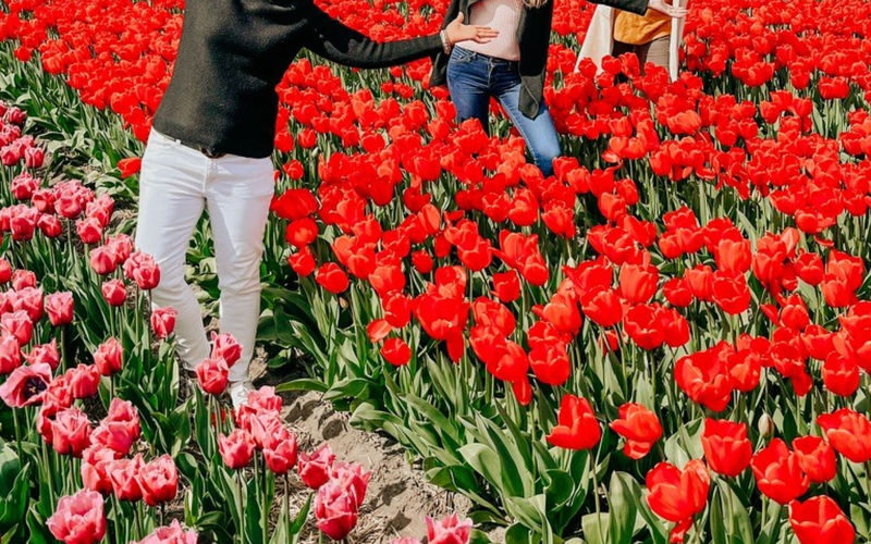 Keukenhof, Tulip Farm & Windmill Cruise Full-Day Tour from Amsterdam - Should you book it?