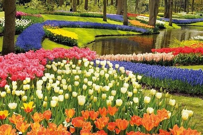 Keukenhof Tulips and Delft Tour From Brussels Full Day - Weather and Refund Policy