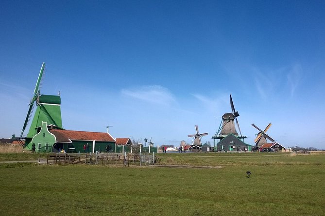 Keukenhofs Tulips and Windmills Small-Group Tour From Amsterdam - Tour Details