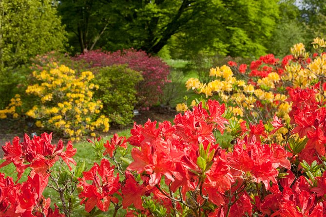 Kew Gardens Entrance Ticket - Directions