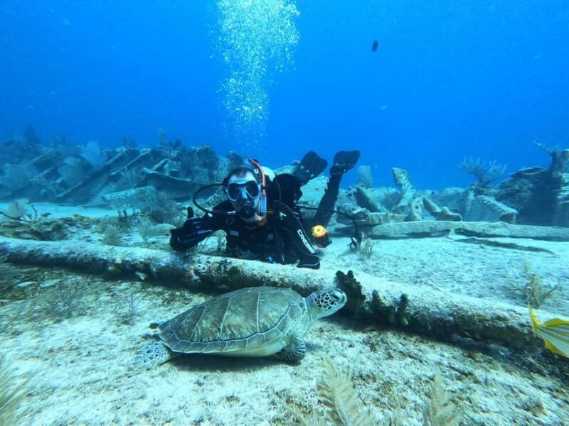 Key Largo: 2-Tank Shallow Reef Dive with Guide & Photos - Discovering the Reefs of Key Largo