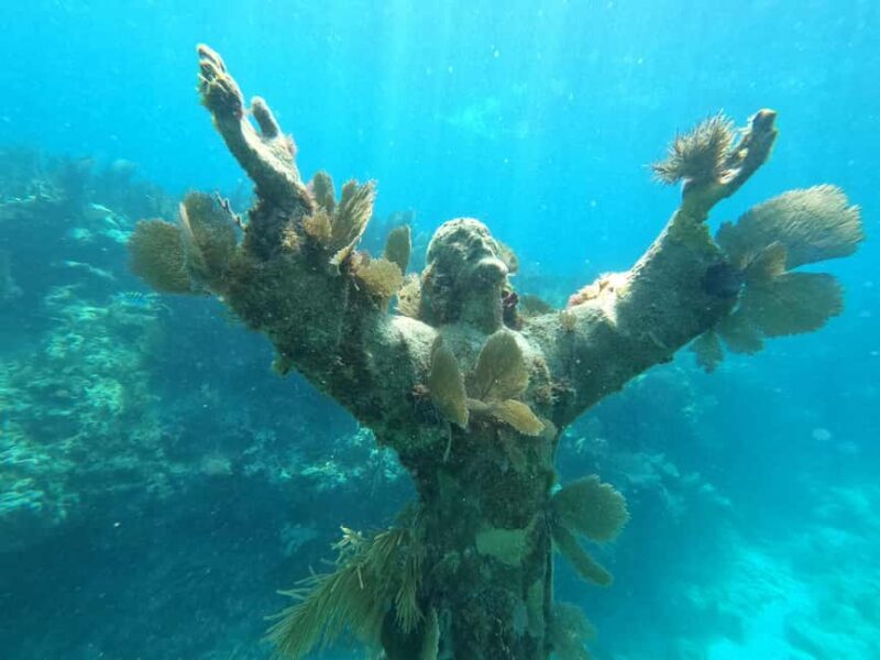 Key Largo: 2-Tank Shallow Reef Dive with Guide & Photos - Practical Details