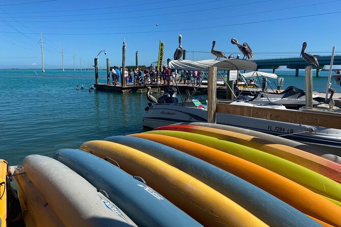 Key Largo and Islamorada Private Tour by Cabriolet Bus - Tour Highlights