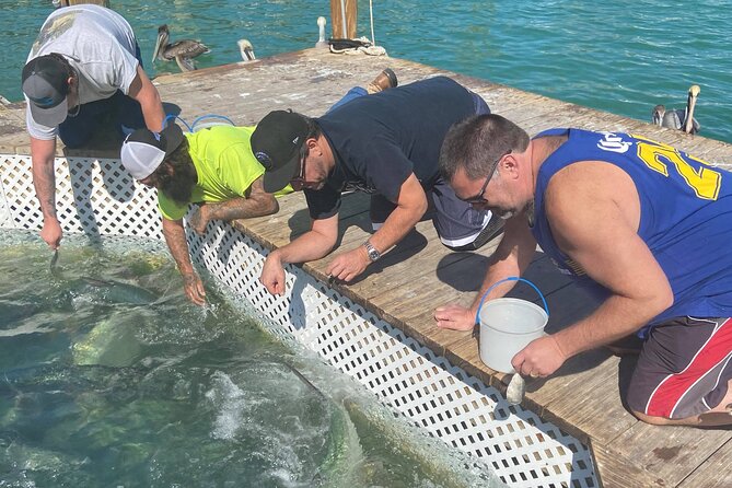 Key Largo and Islamorada Private Tour by Cabriolet Bus - Departure Information