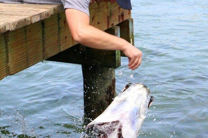 Key Largo Coral Reef Park and Sunset Celebration - A Practical Overview of the Tour