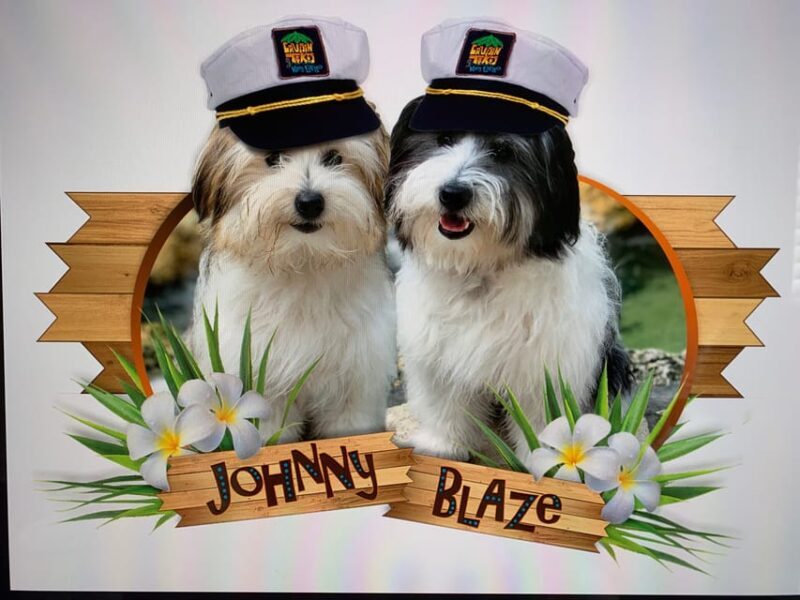 Key Largo: Cruisin' Tikis Key Largo - Day Cruise - FAQ