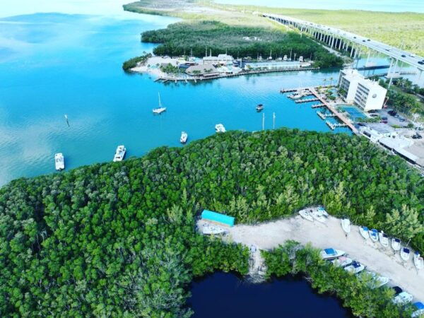 Key Largo Pontoon Boat Rentals - Free Cancellation and Flexible Payment