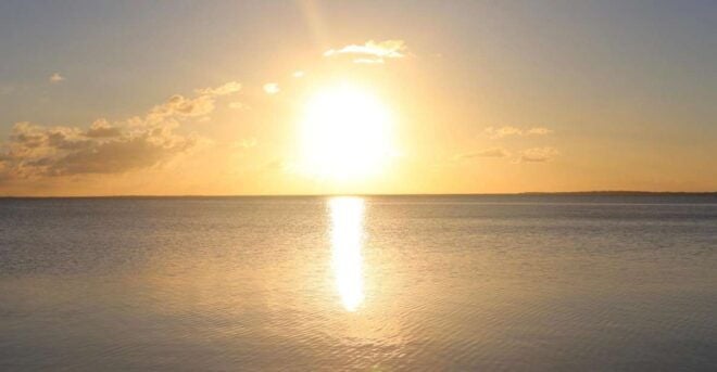 Key Largo: Private Sunset Cruise - Wildlife and Nature