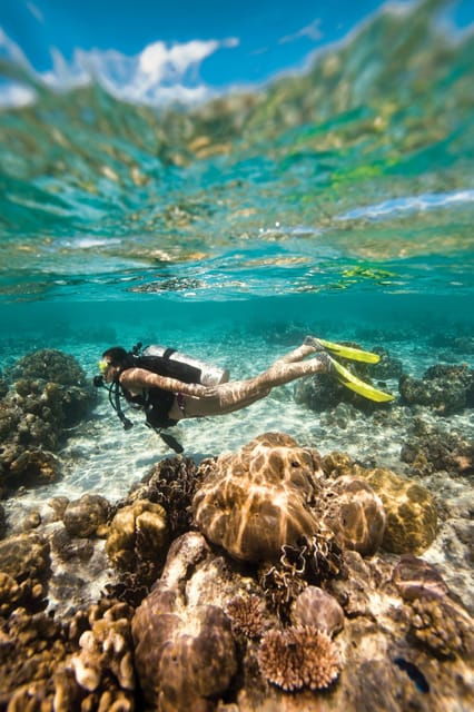 Key Largo: Spiegel Grove Wreck Deep Dive - Marine Life Encounters