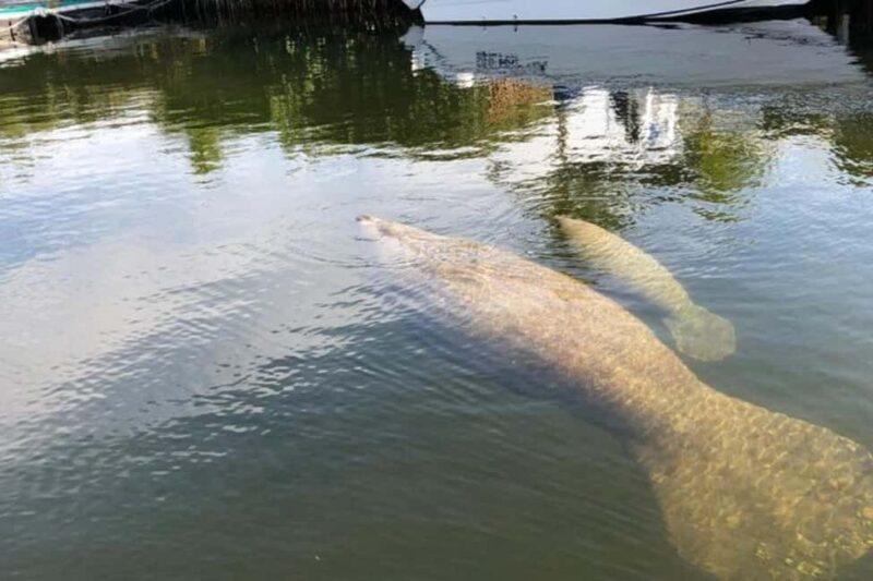 Key Largo: Sunset Cruise - Final Thoughts