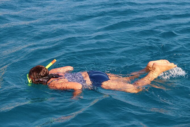Key Largo Trip From Miami With Snorkeling - Transportation Details